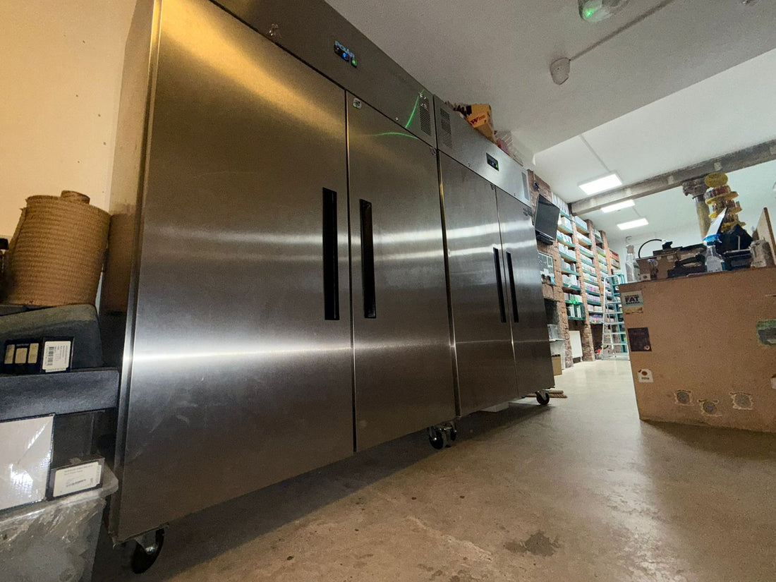 Inside Our Seedbank: How We Keep Every Seed in Top Condition