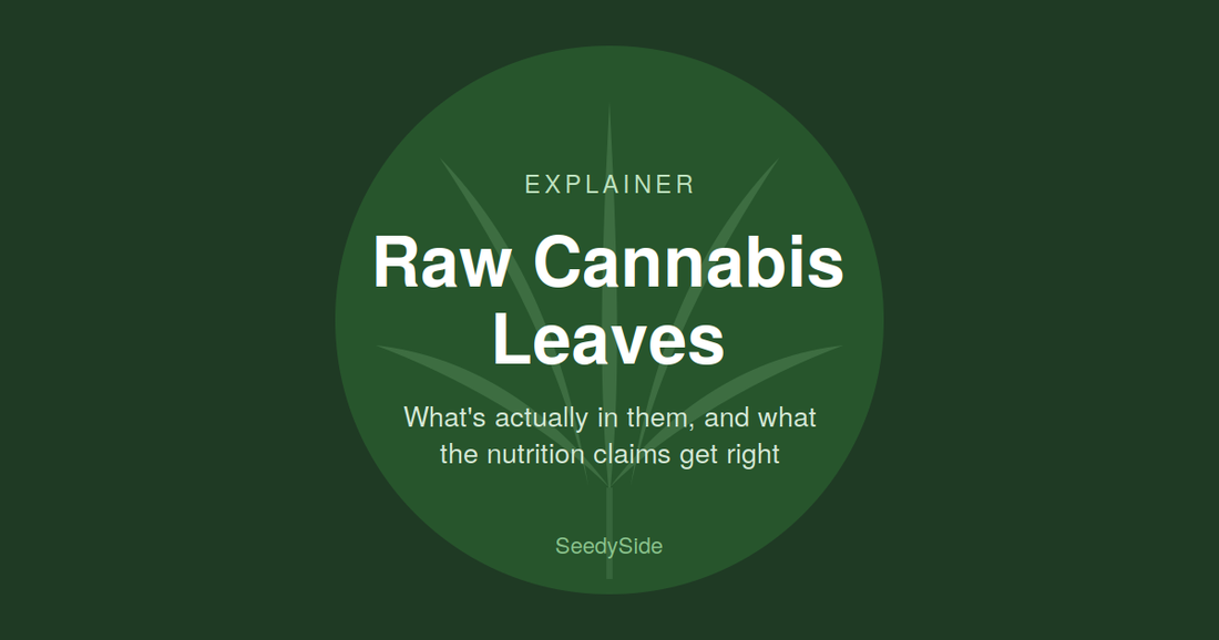 Raw Cannabis Leaves: What's Actually in Them, and What the Nutrition Claims Get Right