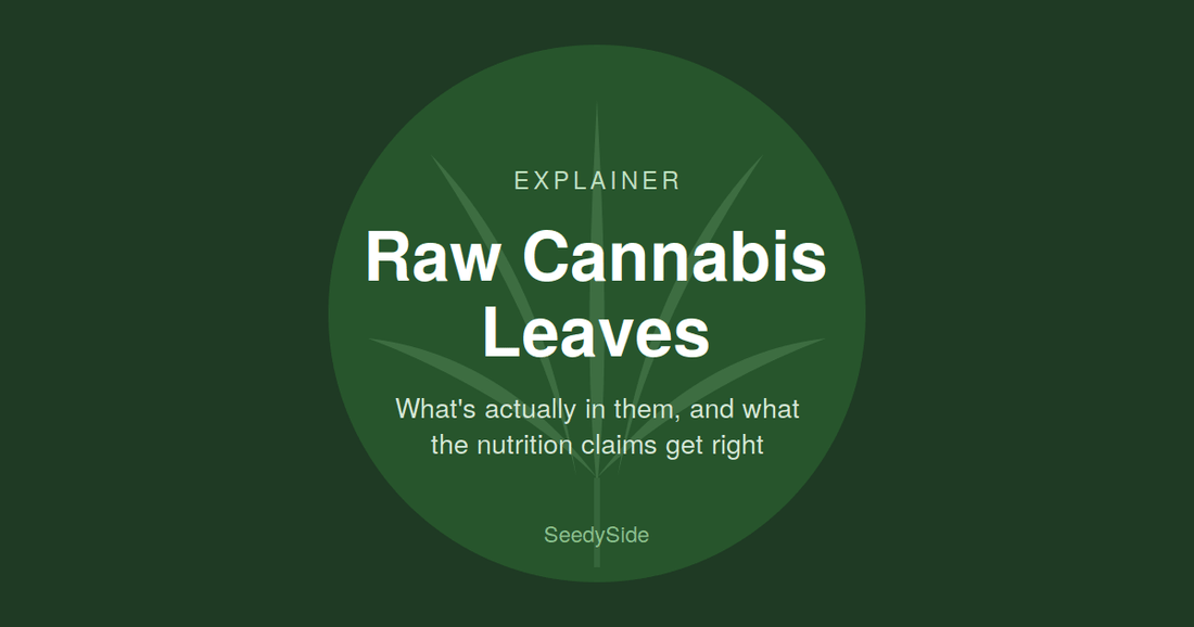 Raw Cannabis Leaves: What's Actually in Them, and What the Nutrition Claims Get Right - SeedySide