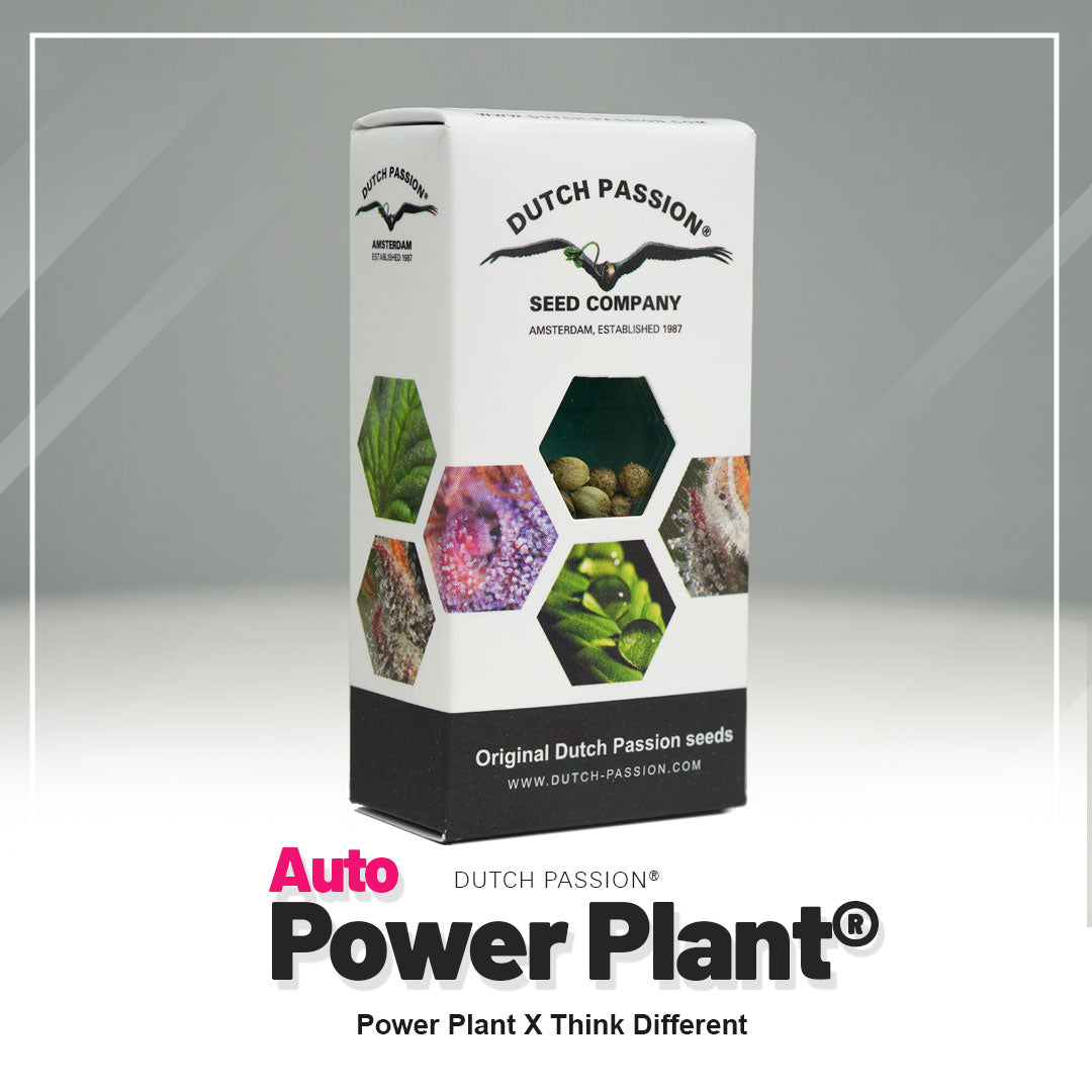 POWER PLANT AUTO STRAIN