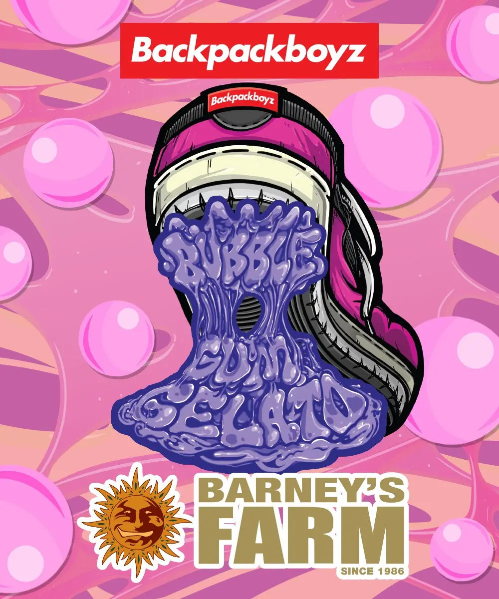 BUBBLEGUM GELATO STRAIN