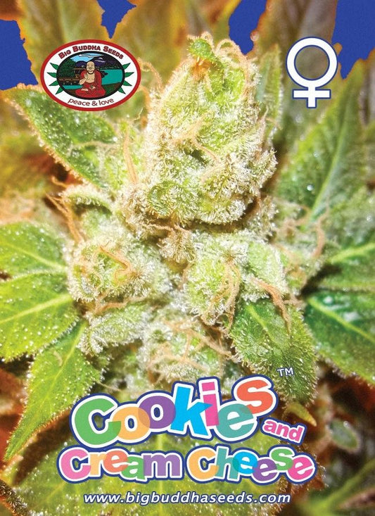 BIG BUDDHA: COOKIES & CREAM CHEESE