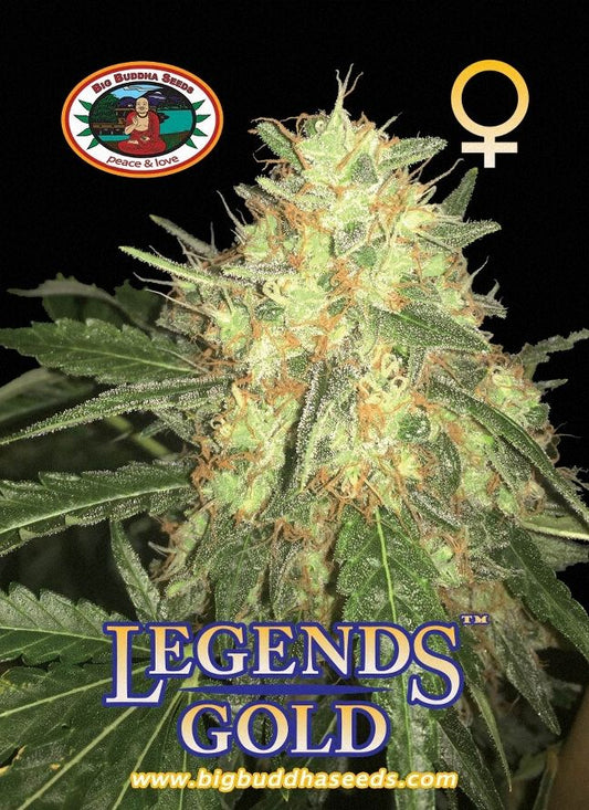 BIG BUDDHA: LEGENDS GOLD