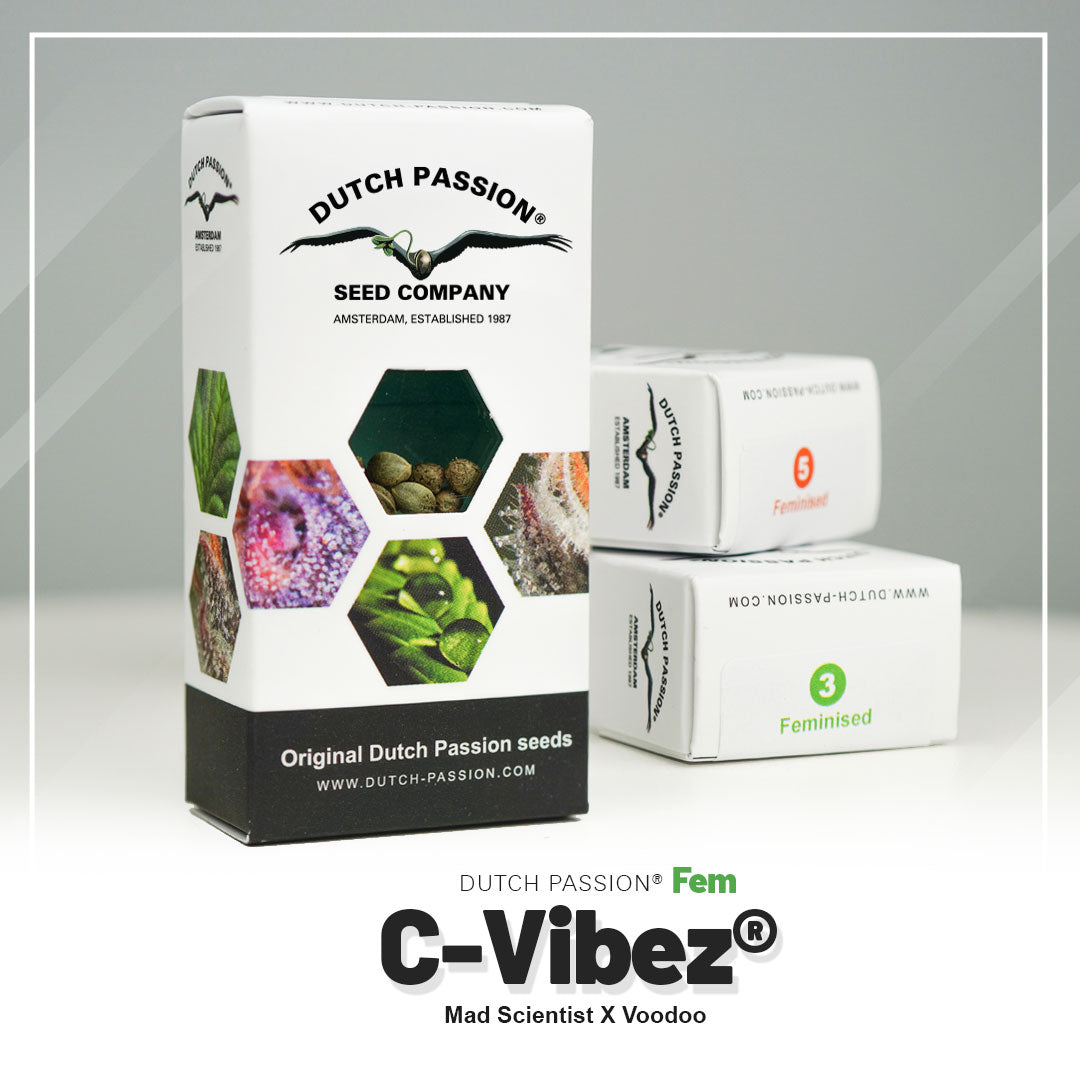 C-VIBEZ STRAIN