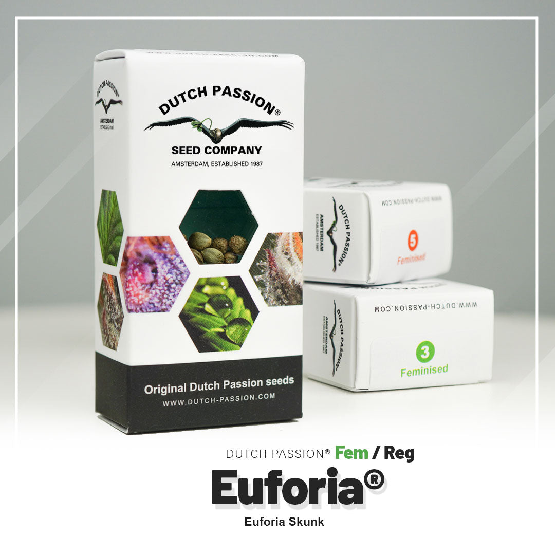 EUFORIA STRAIN