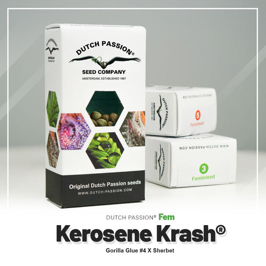 KEROSENE KRASH STRAIN