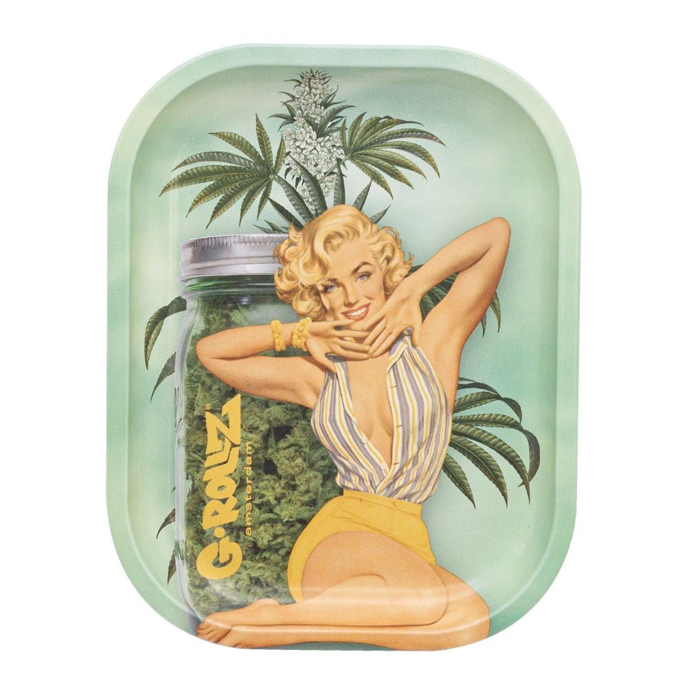 G - ROLLZ AUTO PARTS AKA MONROE METAL TRAY 27.5 X 17.7CM - SeedySide