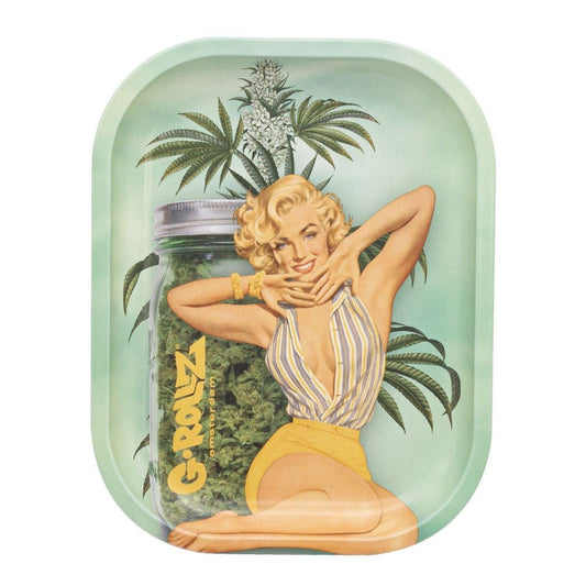 G - ROLLZ AUTO PARTS AKA MONROE METAL TRAY 27.5 X 17.7CM - SeedySide