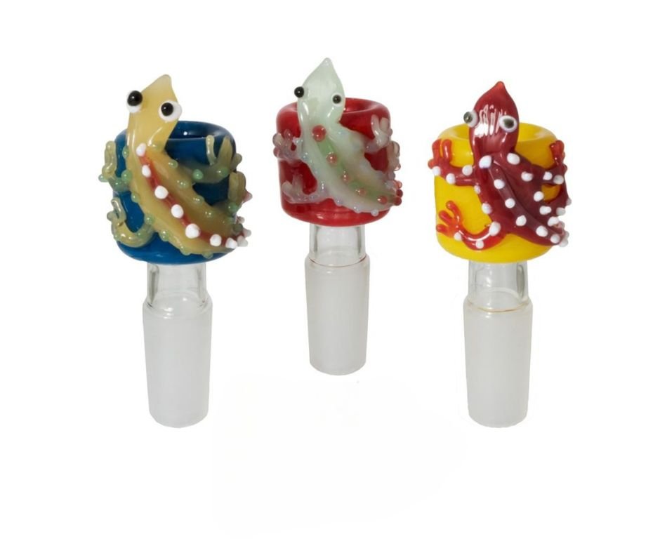 GLASS CONE MIXED DESIGN - SeedySide