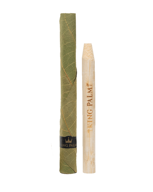 KING PALM XL / XXL ROLLS - SeedySide