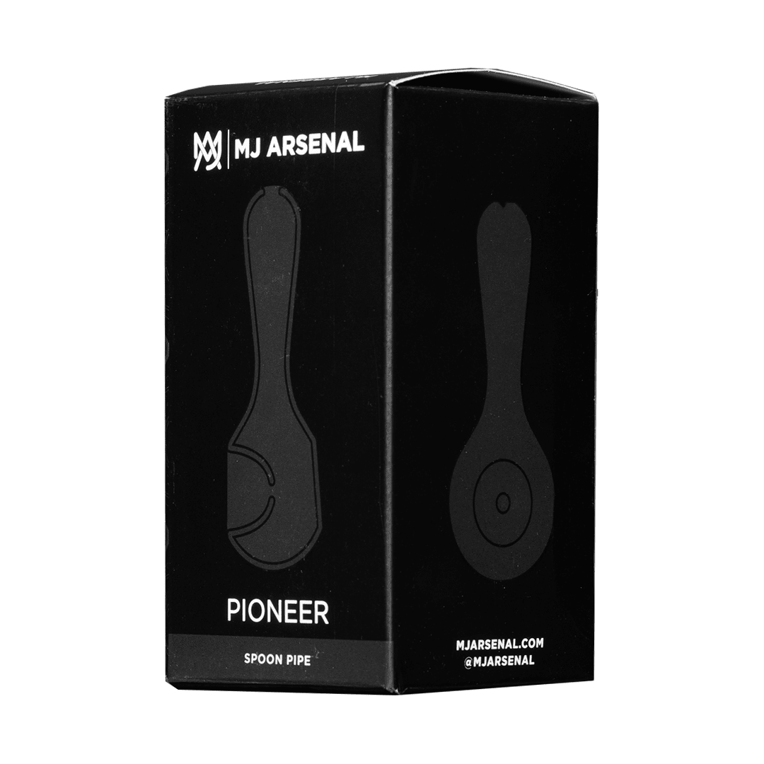 PIONEER - SeedySide