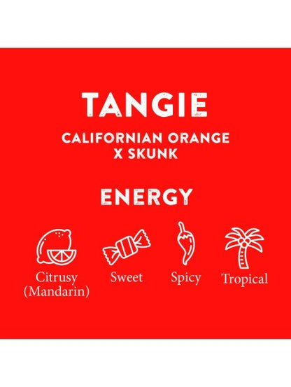 TERPENE PROFILES (5ML) - SeedySide