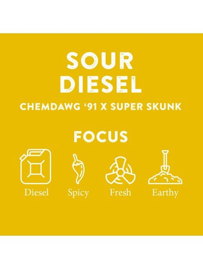 TERPENE PROFILES (5ML) - SeedySide