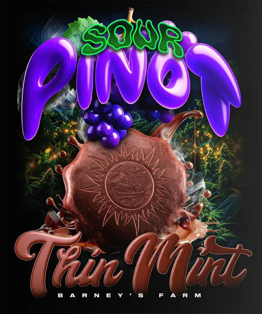 THIN MINT X SOUR PINOT AUTO STRAIN - SeedySide