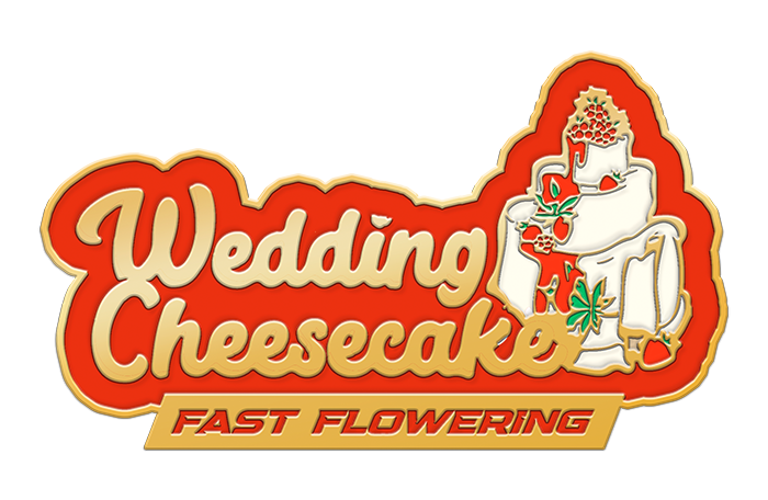 WEDDING CHEESECAKE FF STRAIN