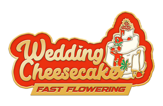 WEDDING CHEESECAKE FF STRAIN